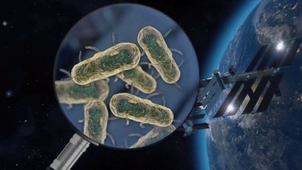Космос повышает опасность бактерий. Чем это грозит космонавтам?
