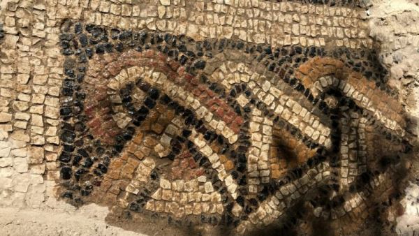 В Испании обнаружили гигантскую римскую мозаику