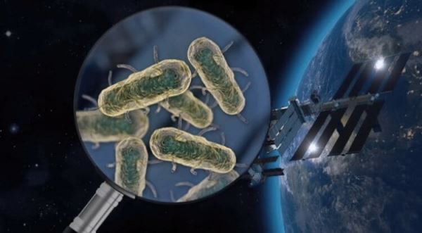 На МКС найдены неизвестные науке микробы. Они опасны?