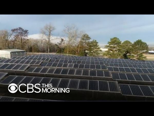 Школа в Арканзасе перешла на солнечную энергию и сумела повысить зарплату учителям на 30%